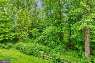 11681 Emerald Green Dr, Clarksburg, MD 20871 - Photo 47
