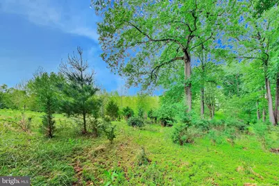 13513 Moonlight Trail Drive, Silver Spring, MD 20906 - Photo 71