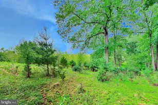 13513 Moonlight Trail Dr, Silver Spring, MD 20906 - Photo 71