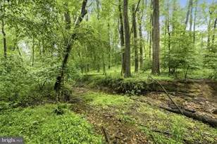 12516 Davan Dr, Silver Spring, MD 20904 - Photo 49
