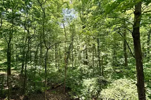 12516 Davan Dr, Silver Spring, MD 20904 - Photo 9