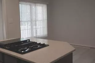 2807 Cornet Ct, Silver Spring, MD 20904 - Photo 13