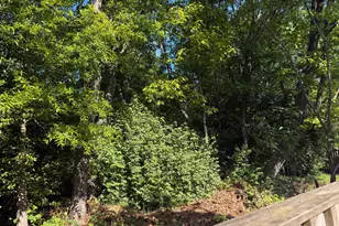 607 Concerto Ln, Silver Spring, MD 20901 - Photo 33