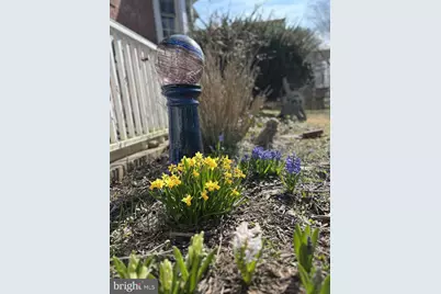 124 Chestnut Avenue, Washington Grove, MD 20880 - Photo 21