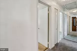 902 Malta Ln, Silver Spring, MD 20901 - Photo 19