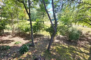 11321 Classical Ln, Silver Spring, MD 20901 - Photo 59