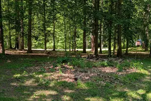 15923 Mt Everest Ln, Silver Spring, MD 20906 - Photo 3