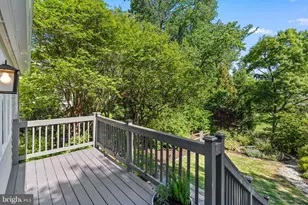 3419 Raymond St, Chevy Chase, MD 20815 - Photo 65
