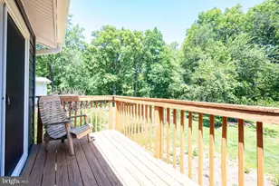 109 Bluff Terrace, Silver Spring, MD 20902 - Photo 43