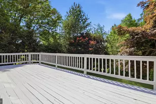 11708 Galt Ave, Silver Spring, MD 20902 - Photo 3