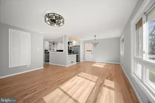 9720 Hedin Dr, Silver Spring, MD 20903 - Photo 11