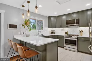 12519 Littleton St, Silver Spring, MD 20906 - Photo 9