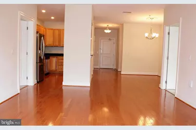 38 Maryland Avenue #335, Rockville, MD 20850 - Photo 3