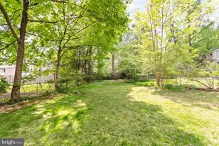 3706 Spring St, Chevy Chase, MD 20815 - Photo 59