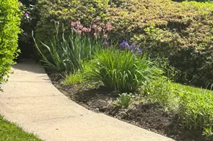 6324 Lenox Rd, Bethesda, MD 20817 - Photo 29