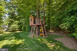 11413 Cushman Rd, North Bethesda, MD 20852 - Photo 79