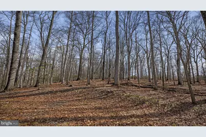 11450 Game Preserve Road, Gaithersburg, MD 20878 - Photo 47