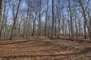 11450 Game Preserve Rd, Gaithersburg, MD 20878 - Photo 47