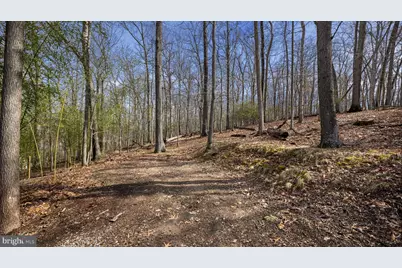11450 Game Preserve Road, Gaithersburg, MD 20878 - Photo 45