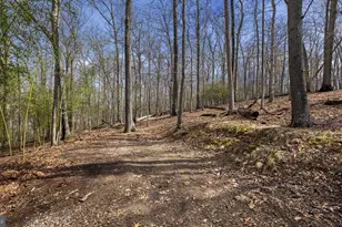11450 Game Preserve Rd, Gaithersburg, MD 20878 - Photo 45
