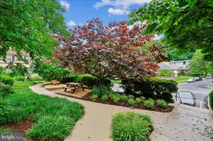 8205 Grubb Rd, Silver Spring, MD 20910 - Photo 21