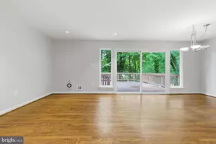 14114 Arctic Ave, Rockville, MD 20853 - Photo 13