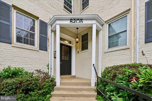 8205 Grubb Rd, Silver Spring, MD 20910 - Photo 19