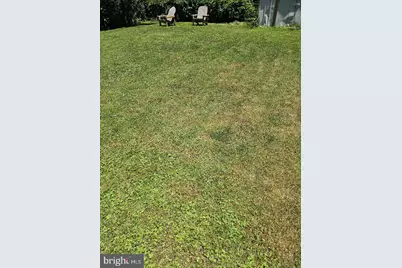 10407 Grandin Road, Silver Spring, MD 20902 - Photo 15