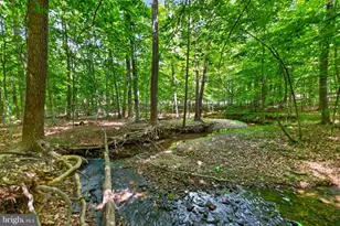 13026 Shamrock Glen Dr, Germantown, MD 20878 - Photo 43