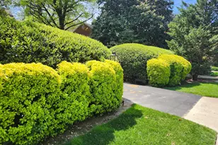 3610 East-West Hwy, Chevy Chase, MD 20815 - Photo 11
