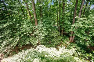 4920 Sentinel Dr, Bethesda, MD 20816 - Photo 39