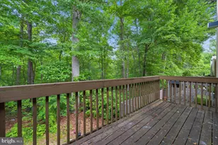 10113 Maple Leaf Dr, Montgomery Village, MD 20886 - Photo 13
