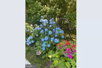 8309 Old Seven Locks Road, Bethesda, MD 20817 - Photo 13
