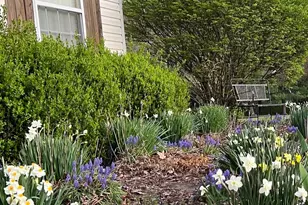 6 Tom Fox Ct, Poolesville, MD 20837 - Photo 55