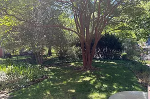 702 McNeill Rd, Silver Spring, MD 20910 - Photo 3