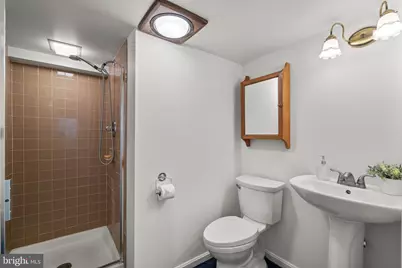 1714 Luzerne Avenue, Silver Spring, MD 20910 - Photo 41