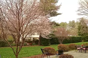 1849 Greenplace Terrace, Rockville, MD 20850 - Photo 17