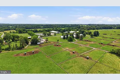 20800 Whites Ferry Road, Poolesville, MD 20837 - Photo 83