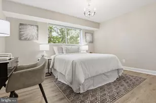 10636 Montrose Ave, Bethesda, MD 20814 - Photo 19