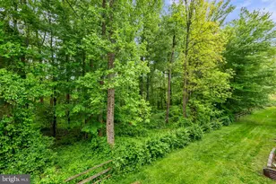 11681 Emerald Green Dr, Clarksburg, MD 20871 - Photo 49