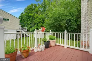 14203 Myer Terrace, Rockville, MD 20853 - Photo 69