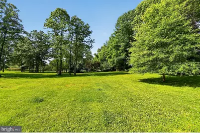 7317 Olive Tree Court, Gaithersburg, MD 20879 - Photo 19