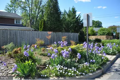 6000 Greentree Road, Bethesda, MD 20817 - Photo 33