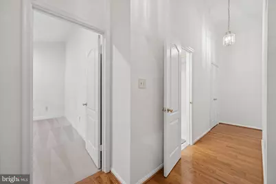 8900 Ellsworth Court, Silver Spring, MD 20910 - Photo 55