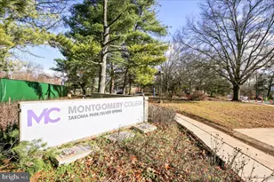 315 Circle Ave, Takoma Park, MD 20912 - Photo 93
