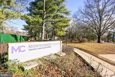 315 Circle Avenue, Takoma Park, MD 20912 - Photo 103