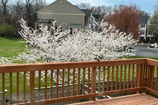 7804 Yankee Harbor Dr, Montgomery Village, MD 20886 - Photo 13