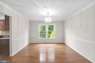 1119 Halesworth Dr, Potomac, MD 20854 - Photo 9