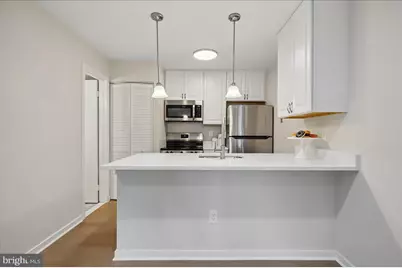 10102 Hellingly #303, Montgomery Village, MD 20886 - Photo 3
