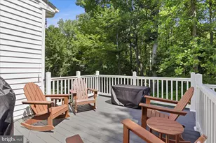15717 Tierra Dr, Silver Spring, MD 20906 - Photo 41